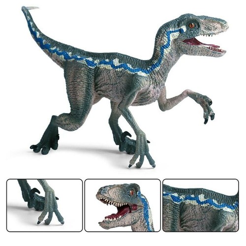 Jurassic blue raptor dinosaur - jurassic,