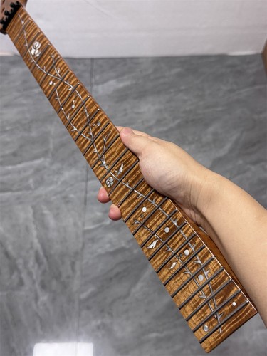 Aaaa stainless 24fret - stainless,