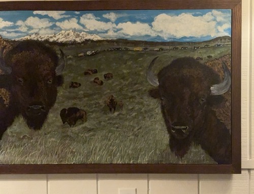 Custom buffalo prairie - custom,
