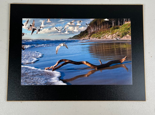 Beach pier scene poster - scene, art