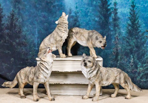 Set mystical forest - set,
