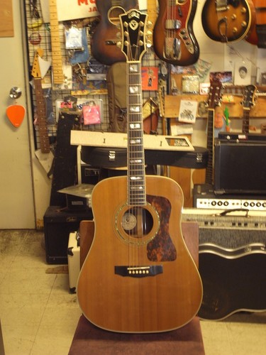Guild natural premium usa - guild, d-55