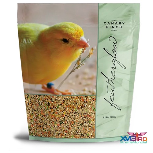 Featherglow canary finch bird - featherglow,