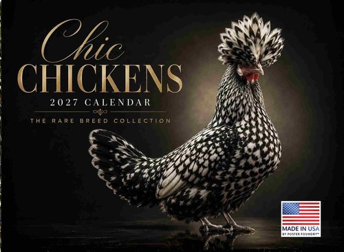 Chic chicken calendar 2027 - chicken,