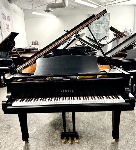 Yamaha grand piano - yamaha,