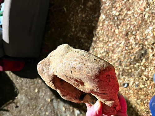 Wooden burl from - wooden,