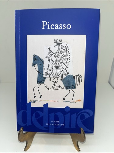 Picasso pocket book - book, of