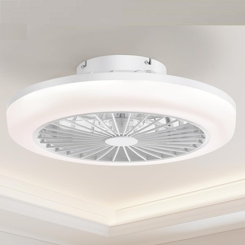 Bladeless ceiling fan - bladeless, w/