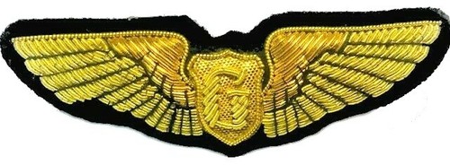 Army air corp glider pilot - us,