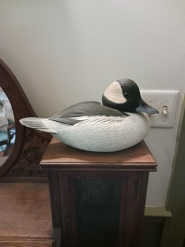 Bob havel buffle drake - bob,