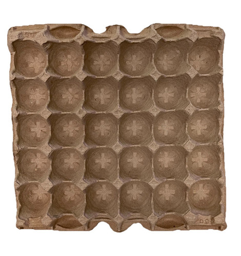 Count biodegradable pulp - 30-count,