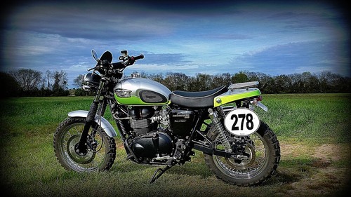 Triumph bonneville scrambler - triumph,