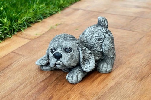 Cute cocker spaniel puppy - cocker,