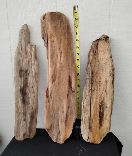 Lot driftwood flat 6 - lot,