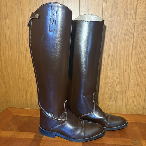 Hispar dressage riding - hispar,