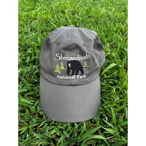 Shenandoah national park bear - shenandoah,
