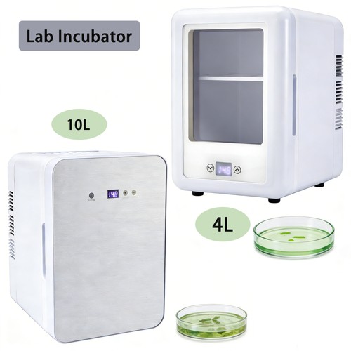 10l lab incubator bacteria - lab,