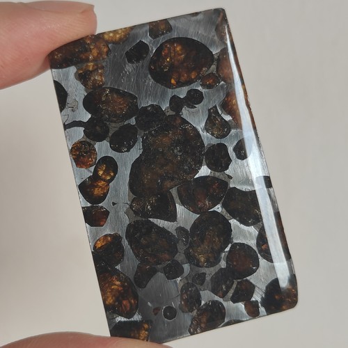 Kenya sericho pallasite - sericho,
