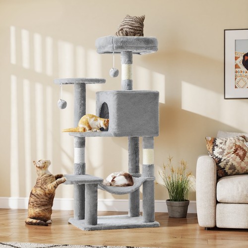 Multi level cat tree - cat,