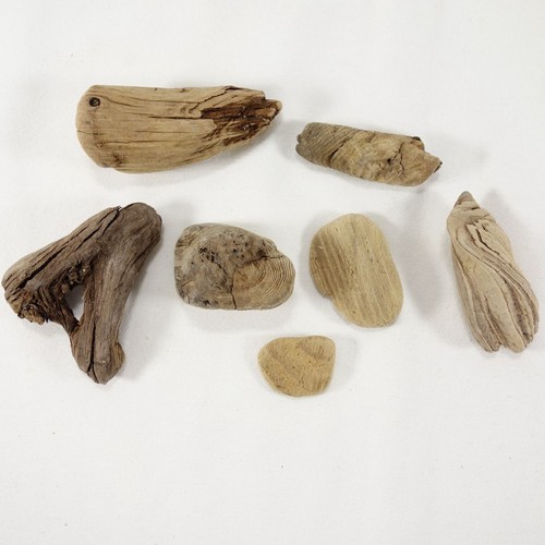 Natural beach small driftwood - natural,