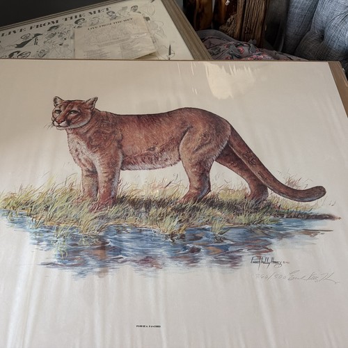 Enoch kelly haney signed - enoch,