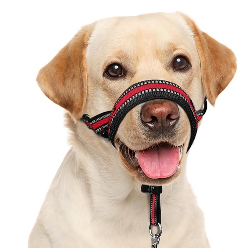 Barkless soft dog head - barkless,