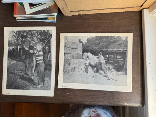 Vintage black and white - , farm