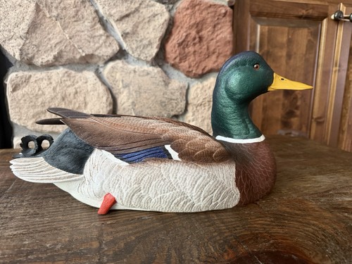 Loon lake drake mallard - lake,