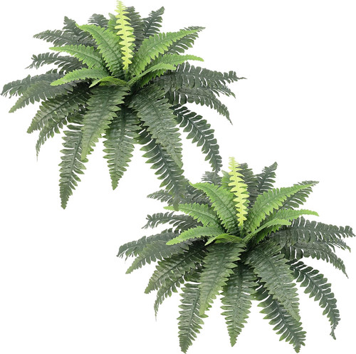 Artificial ferns for - ferns,