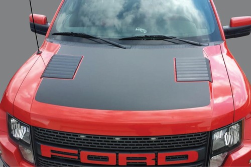2010 ford raptor 150 hood - ford,