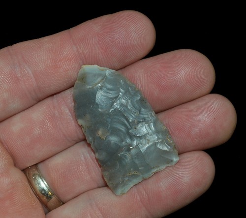Paleo archaic lanceolate - archaic,