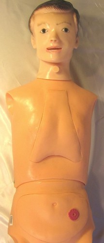 Male female lifesize - &,