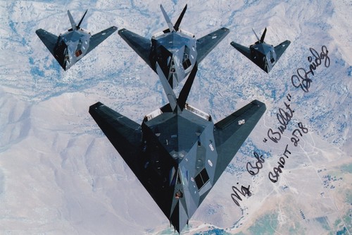 Stealth fighter pilot - fighter,