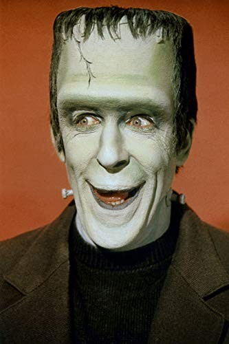 Fred gwynne herman munster - herman,