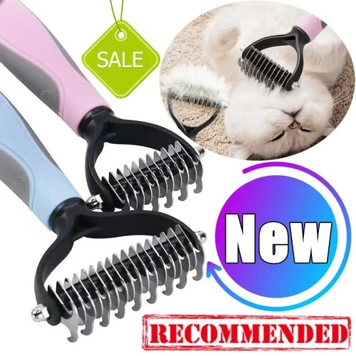 Professional pet dog cat - dog,