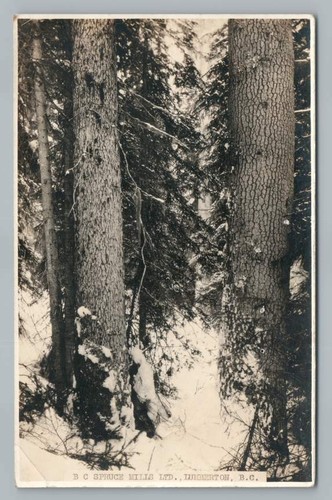 Spruce mills lumberton - bc,