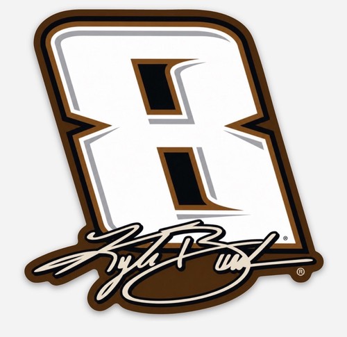 Kyle busch nascar vinyl - kyle,