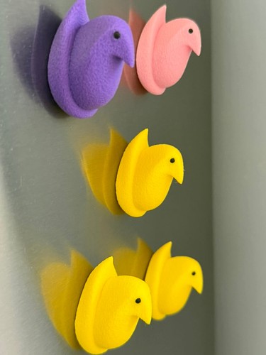 Kitchen chickens - chickens, |