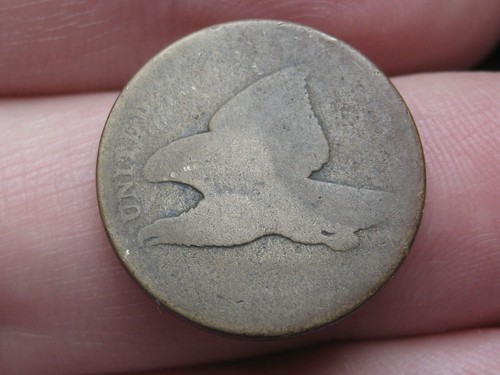 1856 1858 flying - flying, eagle
