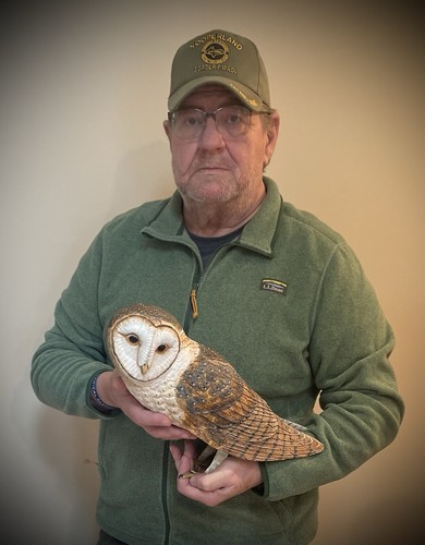 Barn owl wood carving - owl,