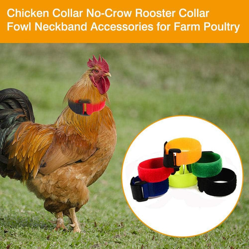 Upgrade anti crow - anti,