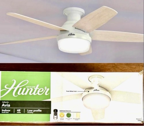 Hunter fan low profile - 48”low,
