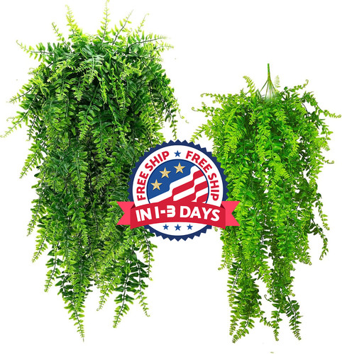 Plantas colgantes - plantas,