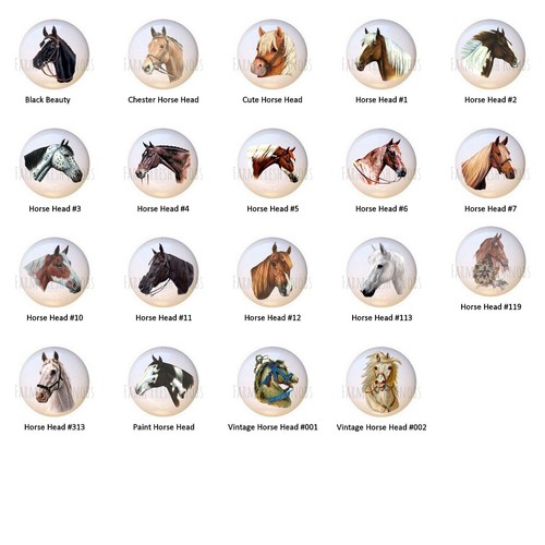 Horse heads equine equestrian - equine,