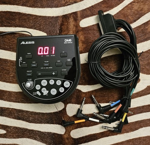 Alesis dm6 drum module - drum,