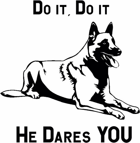 It he dares you - it,