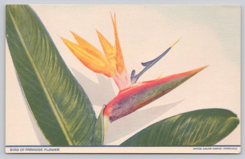 Vtg bird paradise flower - of,