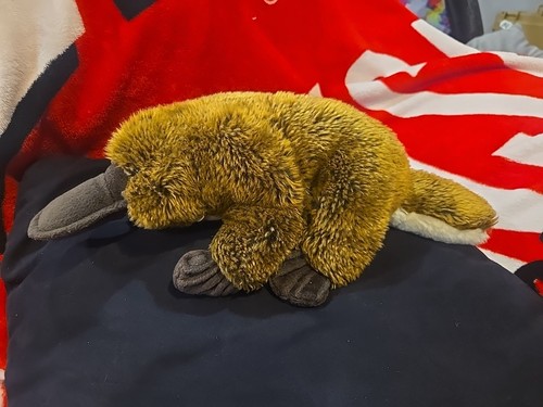 Platypus stuffed animal - stuffed, no