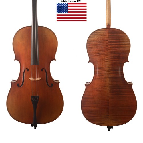 Free shipping special - free, shipping!special