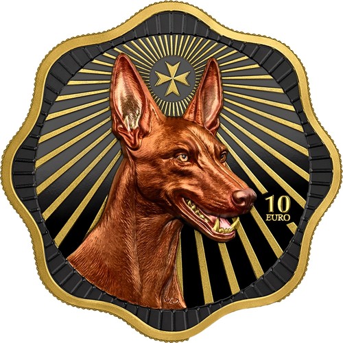 2026 maltese pharaoh hound - 2026,